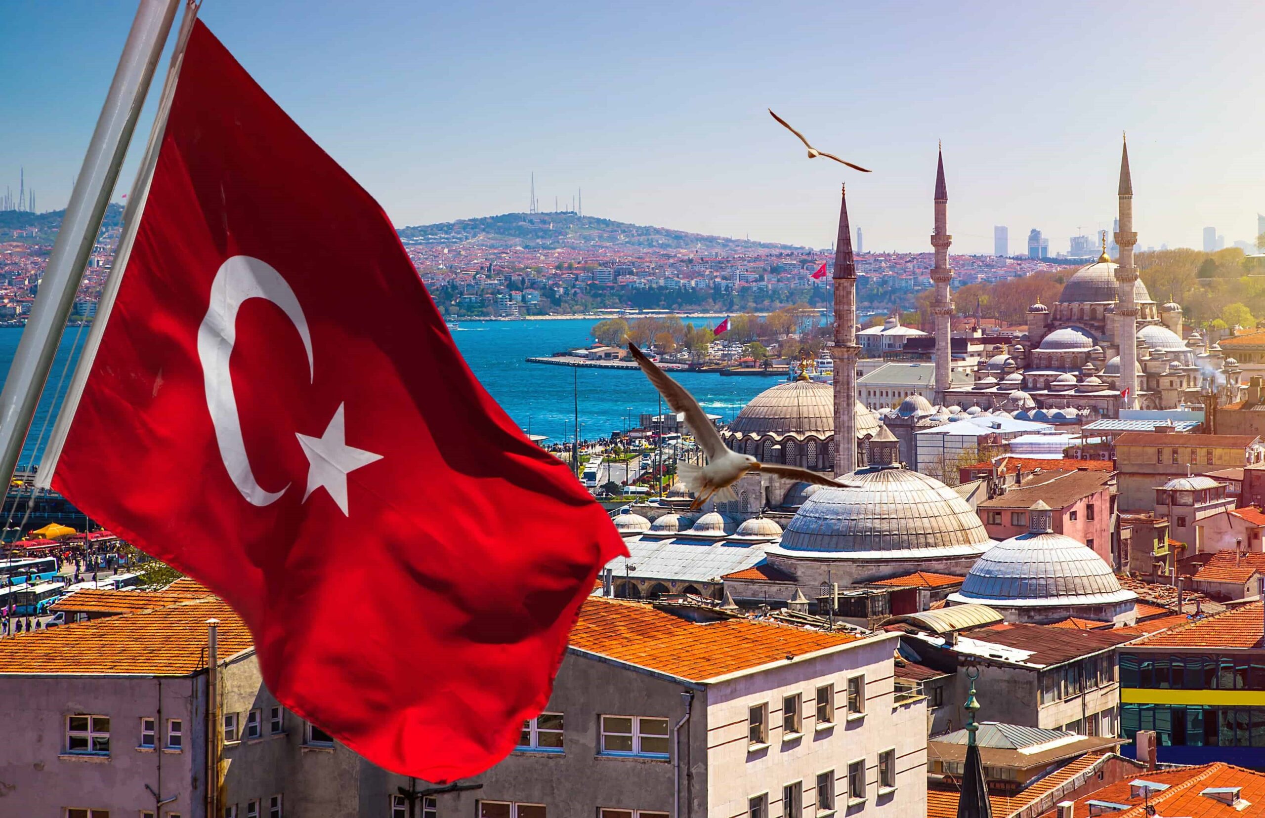 TED University Scholarship in Turkey 2022: