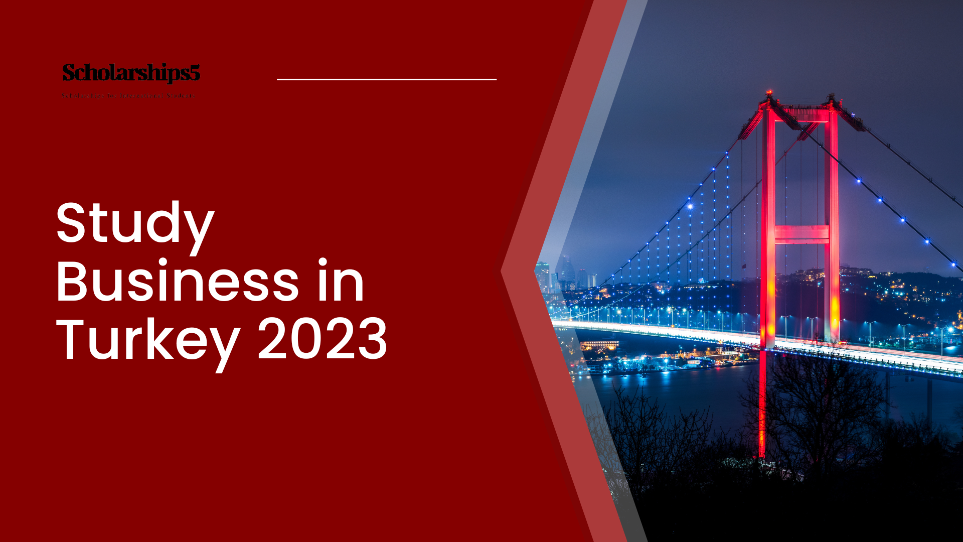 Study Business in Turkey 2023