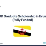 UBD Graduate Scholarship