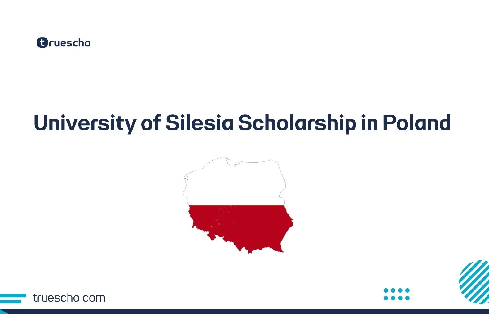 University of Silesia Scholarship