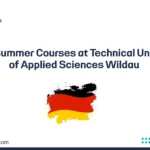 Berlin Summer Courses