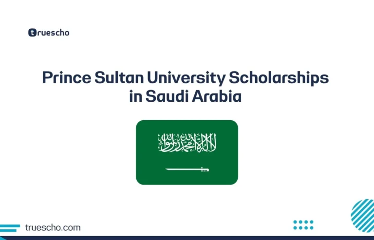 Prince Sultan University Scholarships