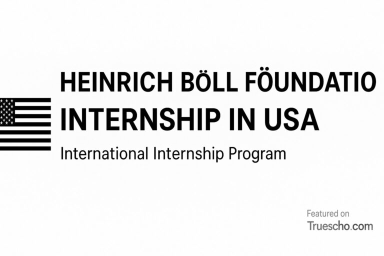 Heinrich Böll Foundation Internship