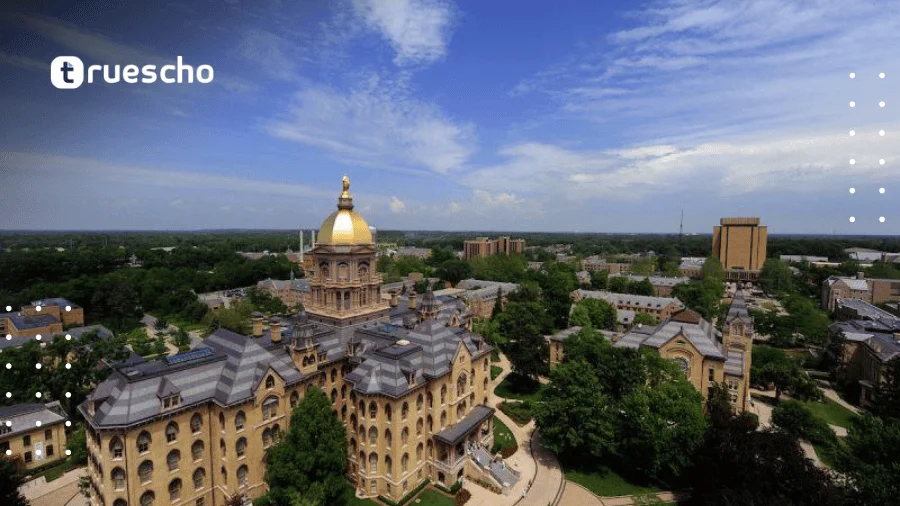 Fully Funded Scholarships