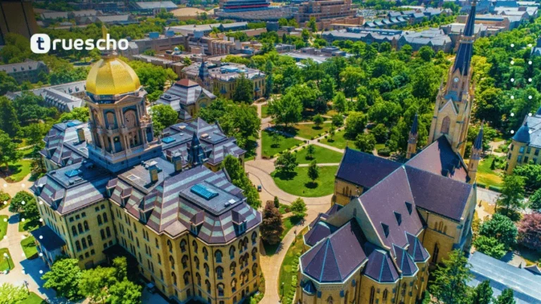 Fully Funded Scholarships