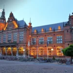 Netherlands Government Scholarship