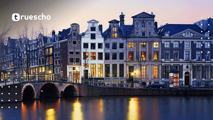 Netherlands Government Scholarship