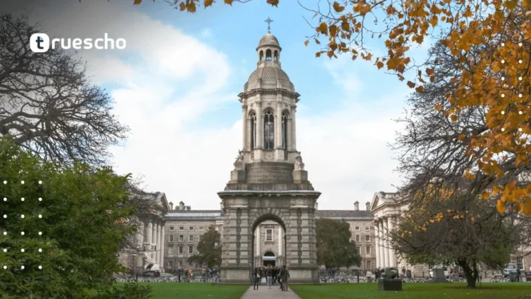 Government of Ireland Postgraduate Scholarship