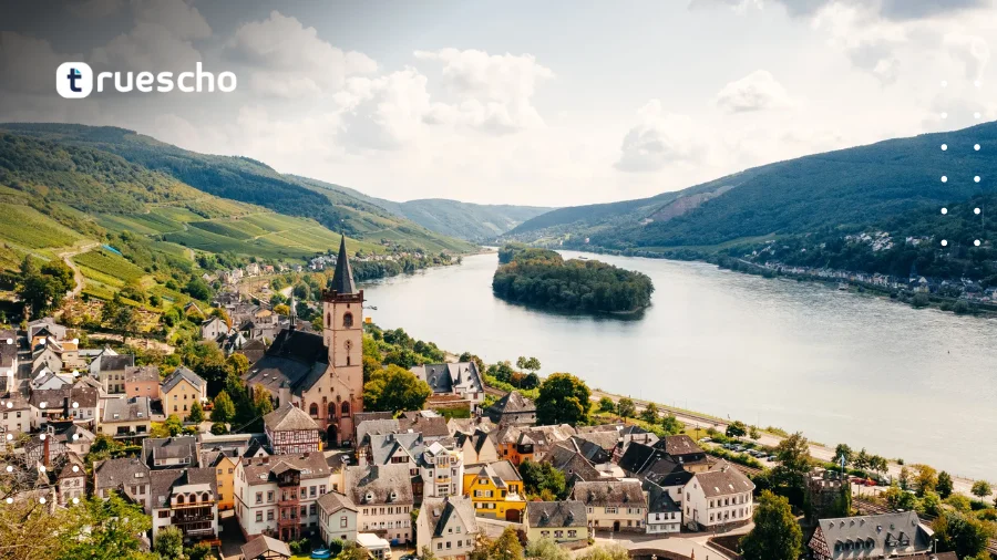 Max Planck Summer Internship