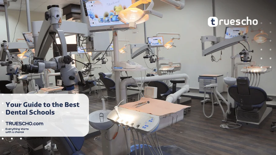 Top 10 Dentistry Universities