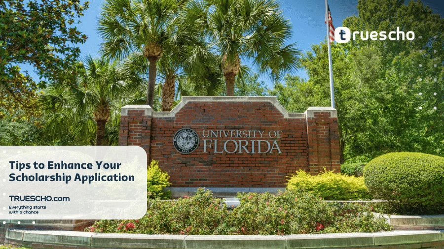 How to Get a Scholarship at UCF