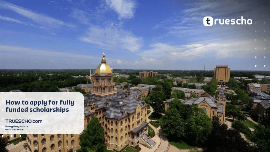 Universities That Offer Full Scholarships