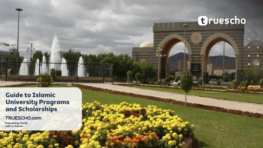 Online Bachelor's in Sharia