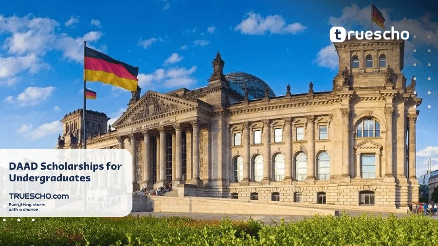Undergraduate Scholarships in Germany