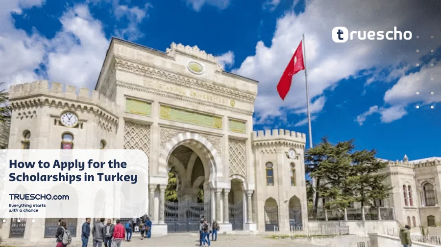 Scholarships in Turkey