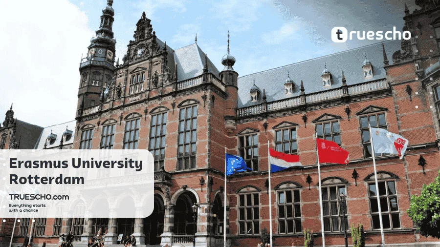 Universities in the Netherlands
