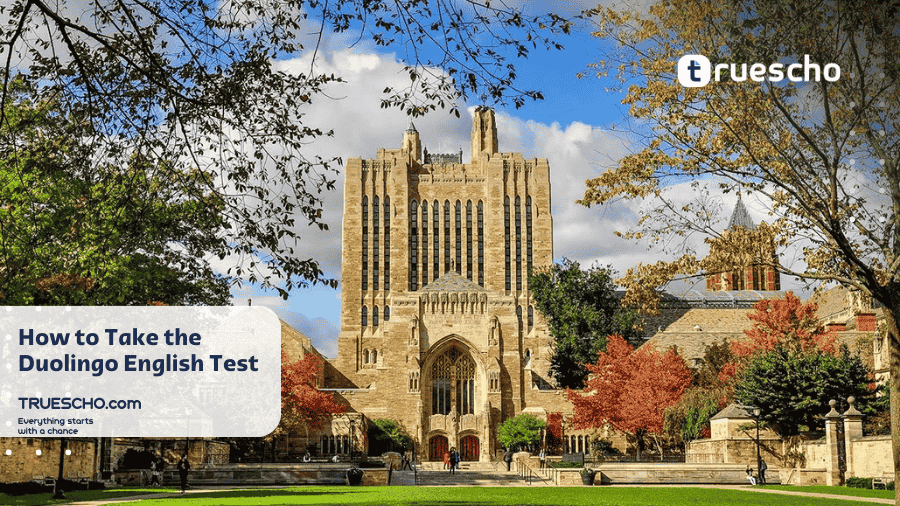 Duolingo Accepted Universities