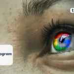 Google BOLD Internship Program