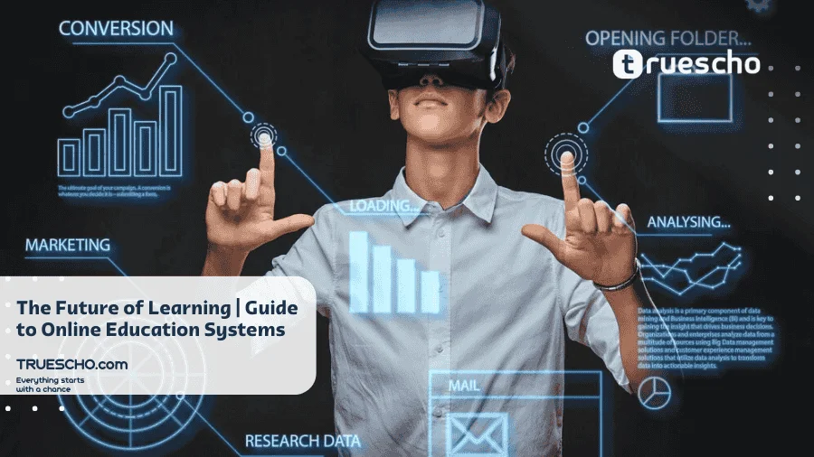 Online Education Systems