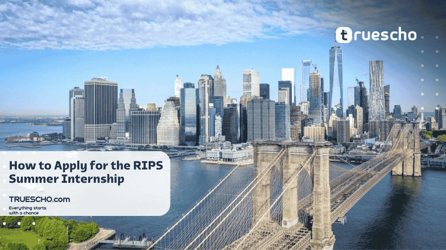 RIPS Summer Internship