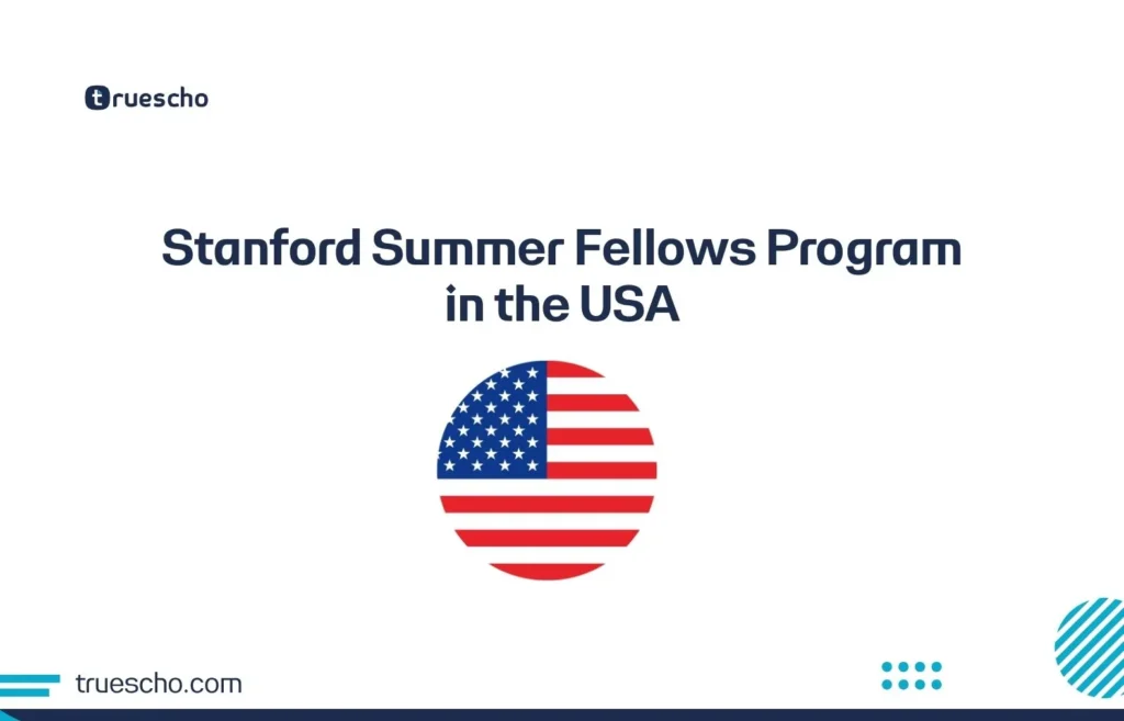 Stanford Summer Fellows Program