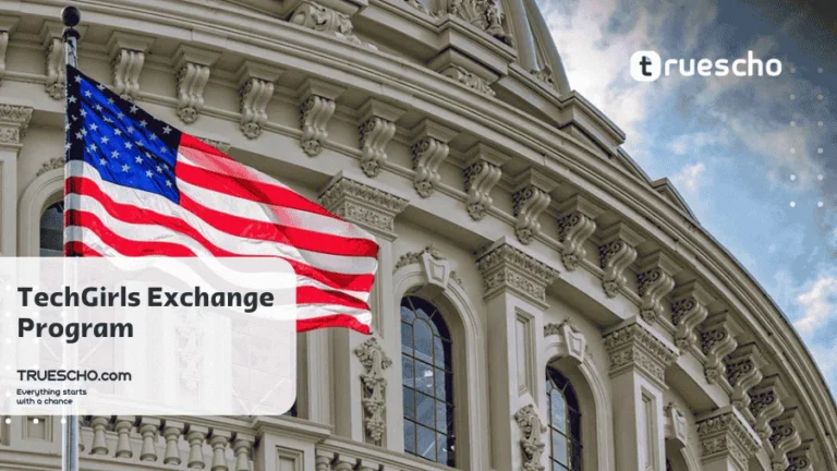 TechGirls Exchange Program