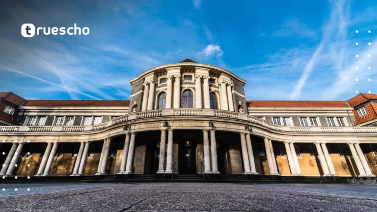 Hamburg Merit Scholarships