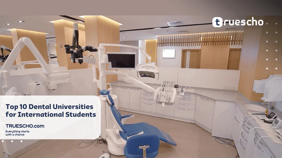 Top 10 Dentistry Universities