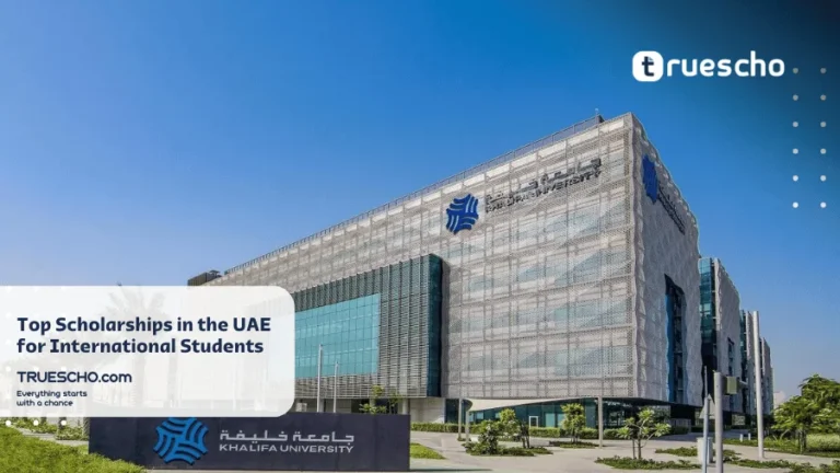 How to Apply for Scholarships in the UAE