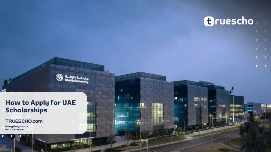 Scholarships in the UAE