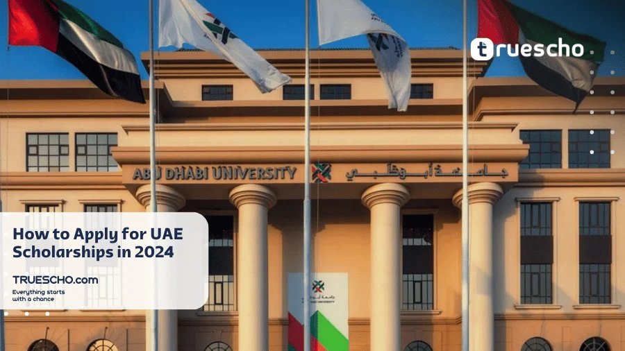 UAE Government and Private Scholarships