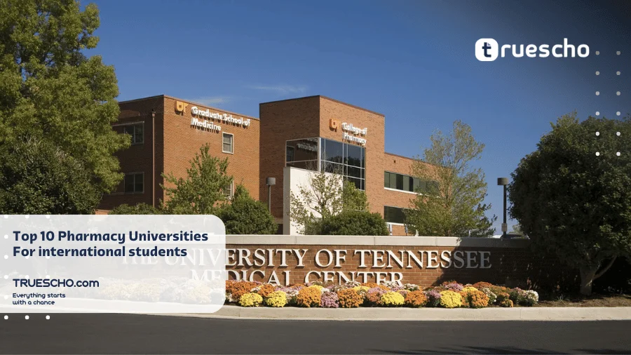 Top 10 Pharmacy Universities