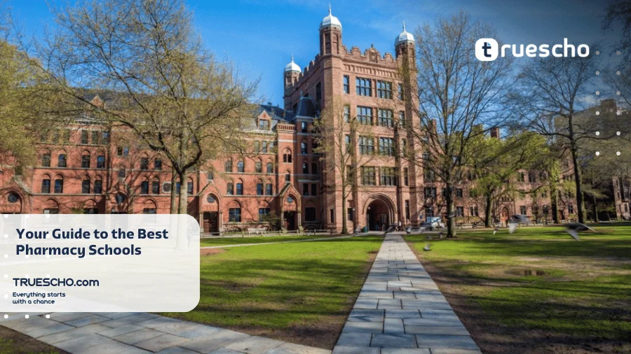 Top 10 Pharmacy Universities