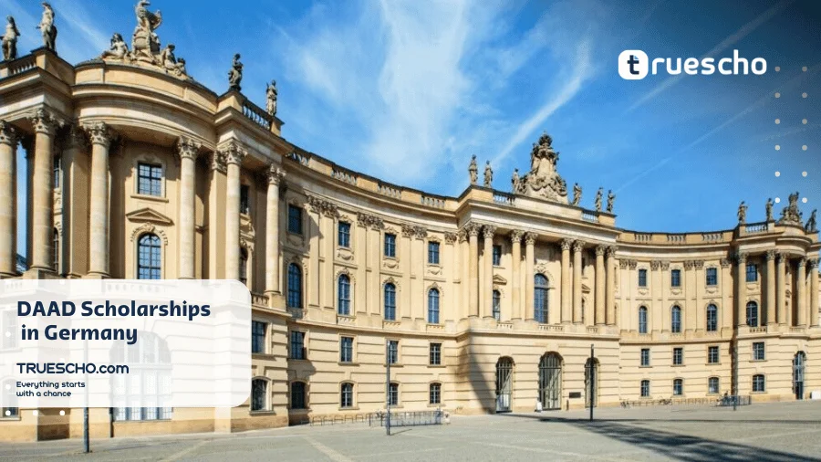 Master's Degree Scholarships