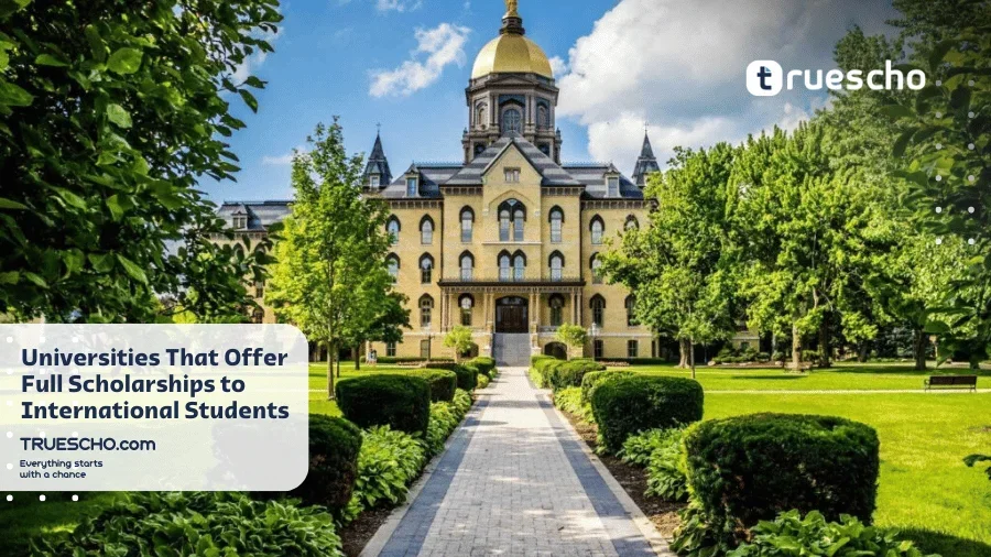 Universities That Offer Full Scholarships