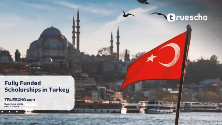 Scholarships in Turkey