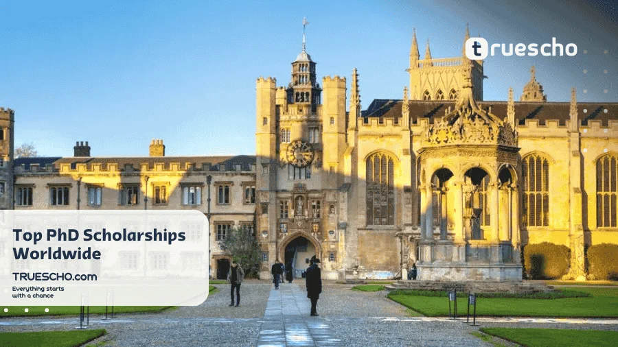 Top PhD Scholarships