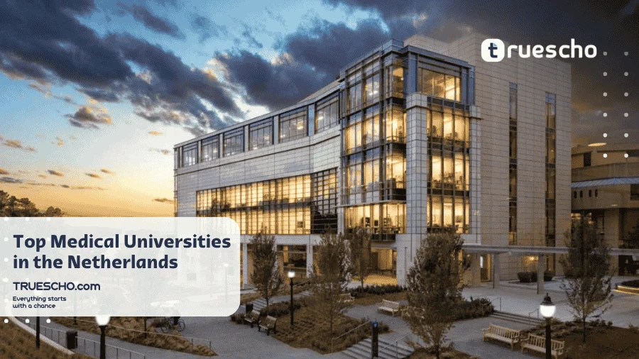 Medical Universities in the Netherlands