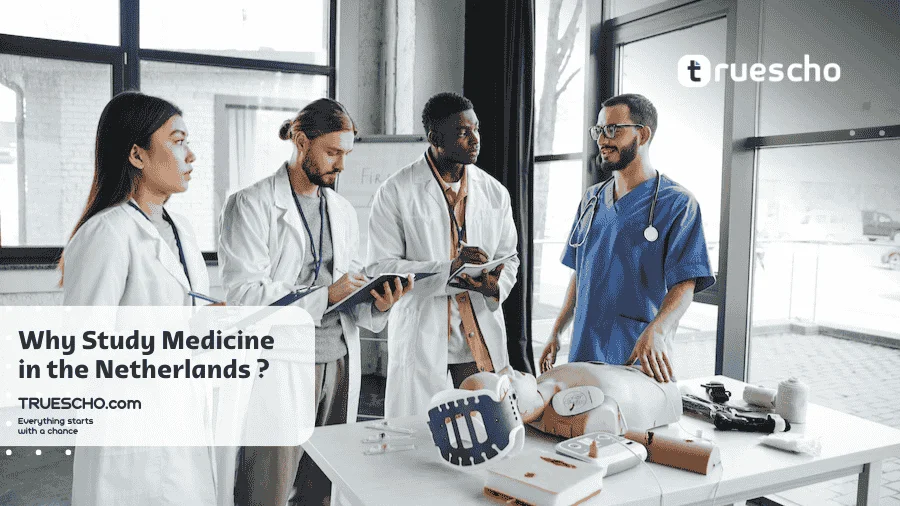 Medical Universities in the Netherlands