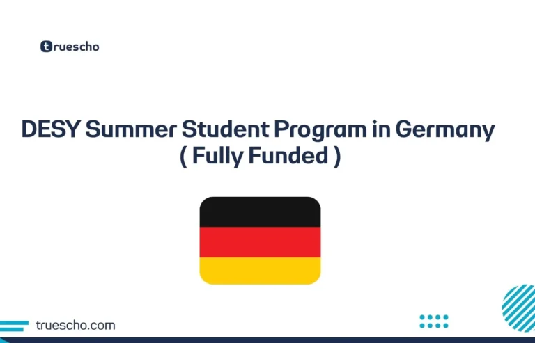 DESY Summer Student Program