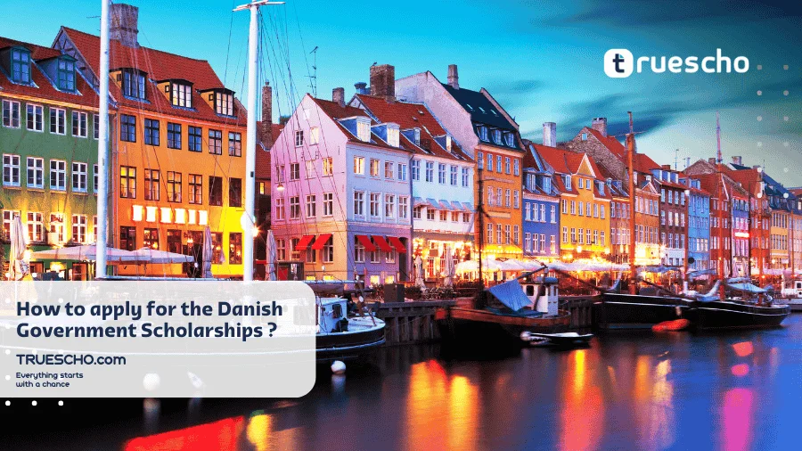 Danish Government Scholarships