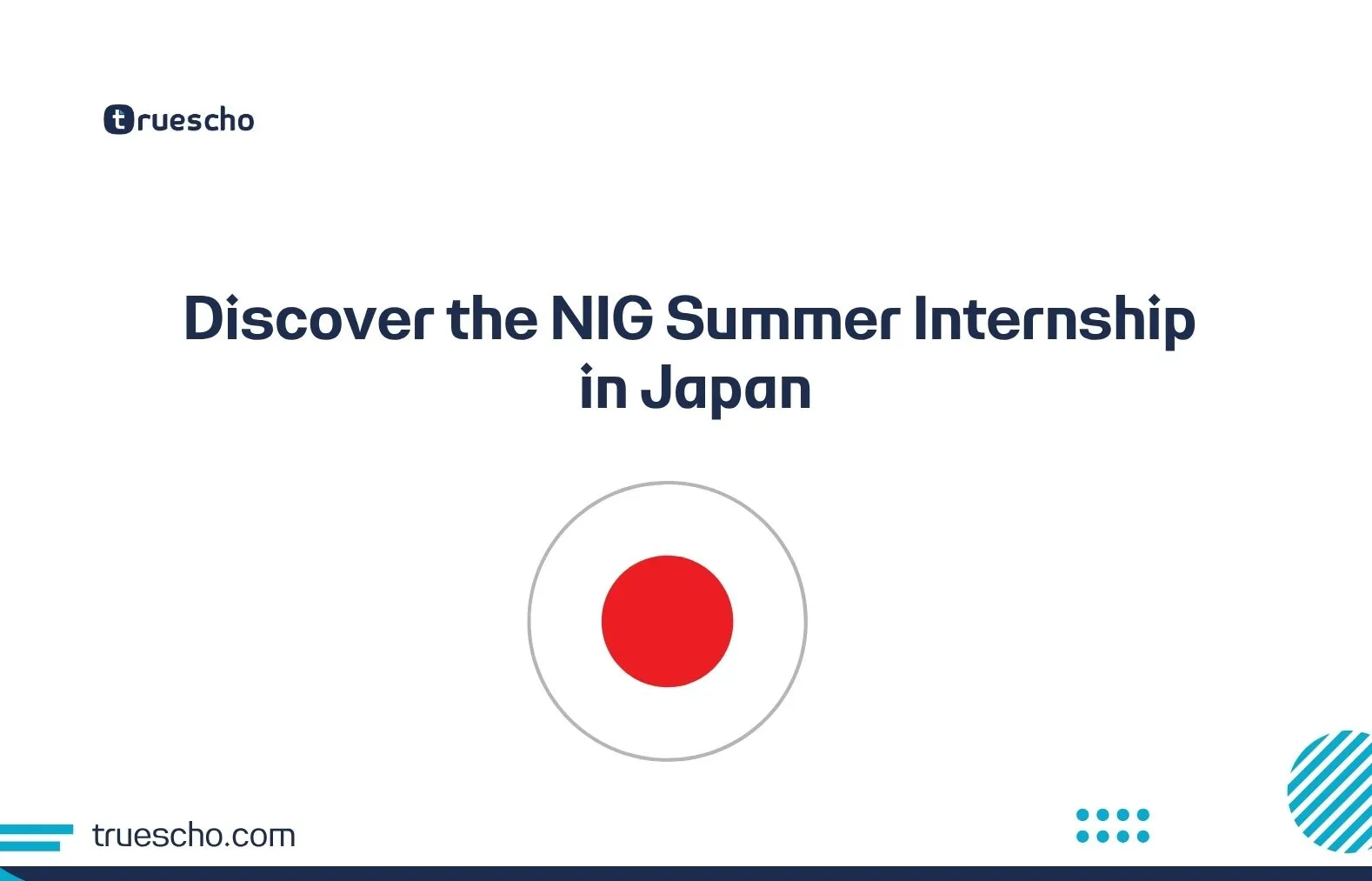 Discover the NIG Summer Internship i