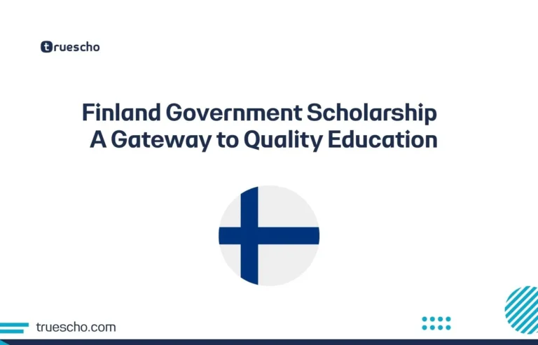 Finland Government Scholarship