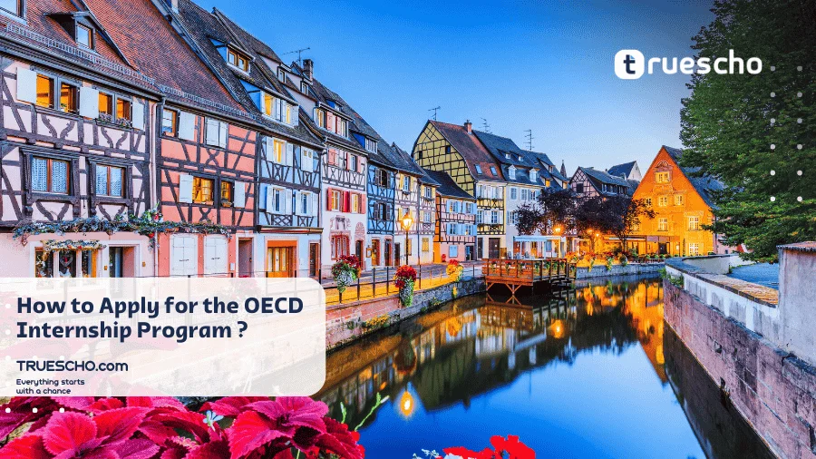 OECD Internship Program