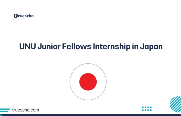 UNU Junior Fellows Internship