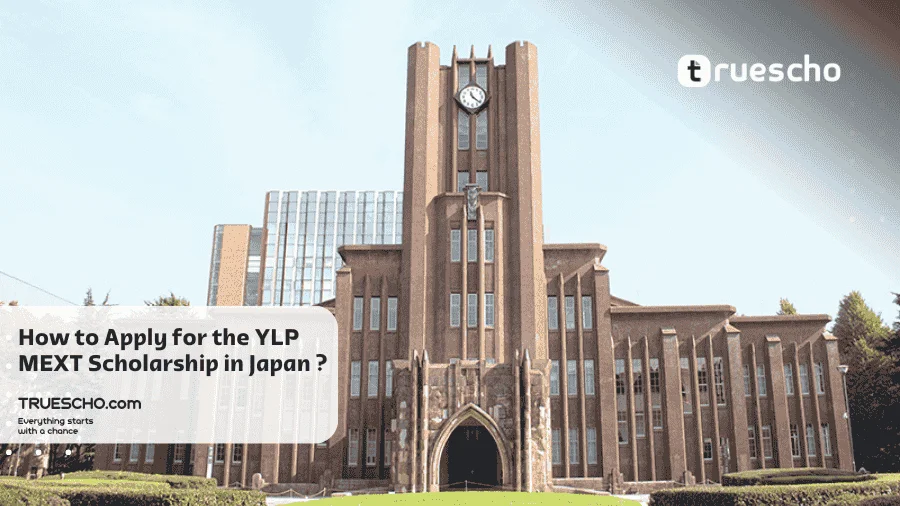 YLP MEXT Scholarship