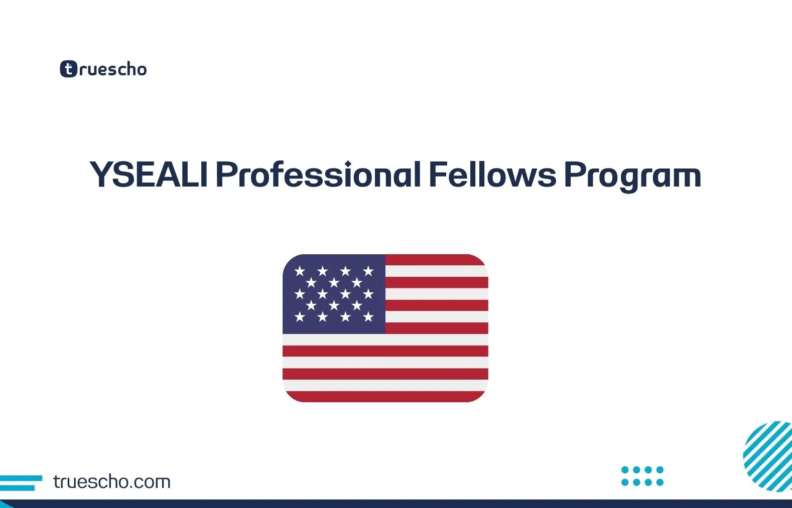 YSEALI Professional Fellows Program