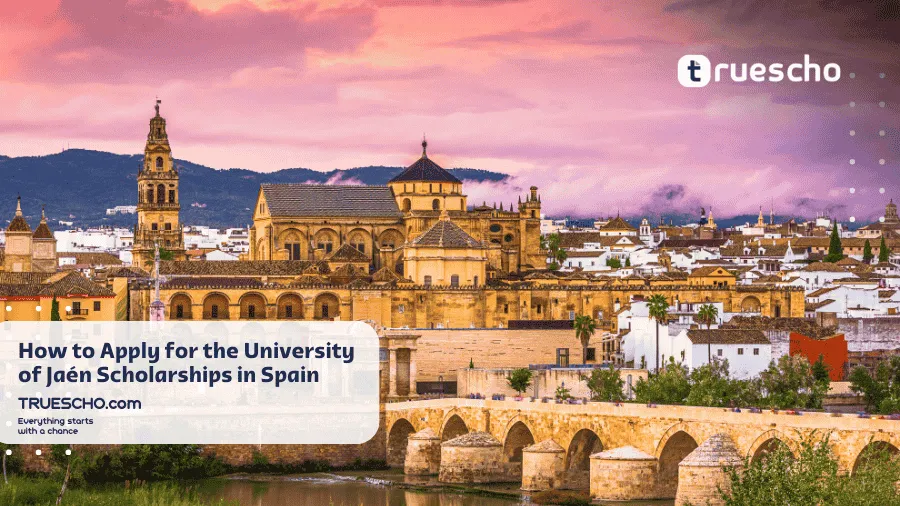 university-of-jaen-scholarships
