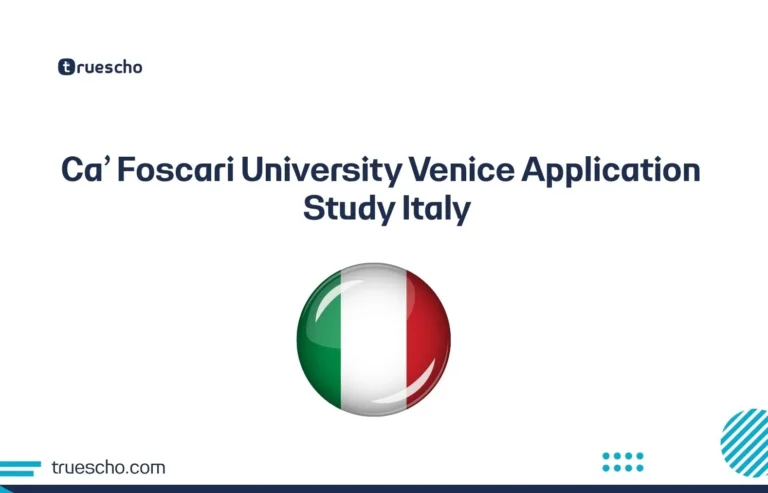 Ca' Foscari University Venice Application