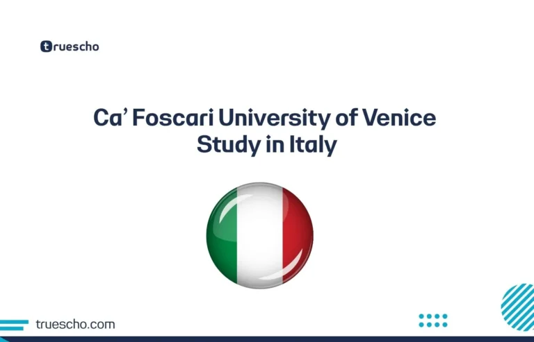 Ca' Foscari University of Venice
